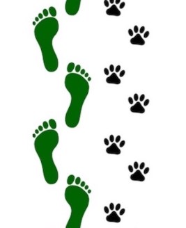 human & paw prints horizontal crop