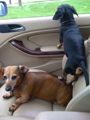 generational support