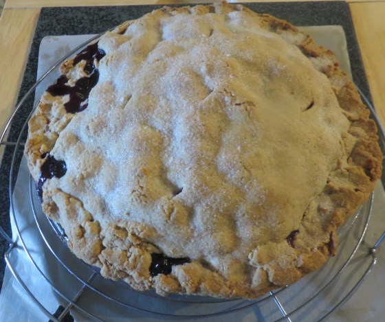 low carb blueberry pie
