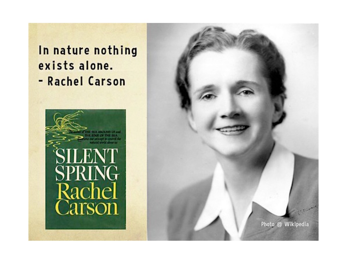 Never Alone Or Weary Of Life