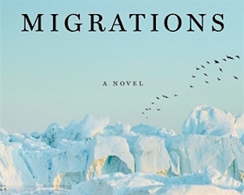 migrations