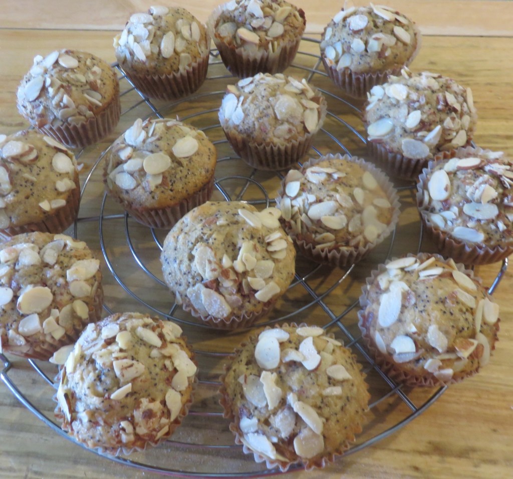 Raspberry Poppyseed Muffins