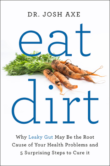 eat dirt cover