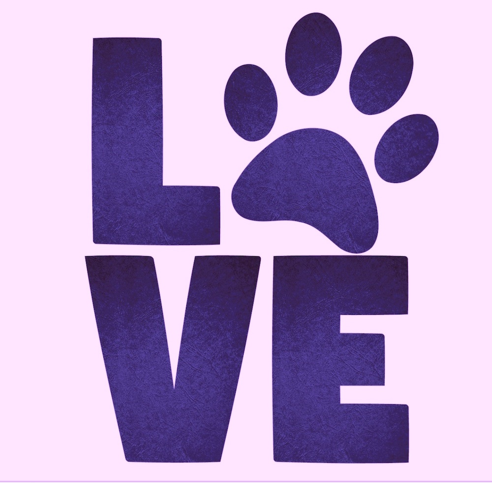 Domestic Animal Companions (Pets) United for a Better Future