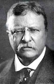 there is no effort without error or shortcoming,