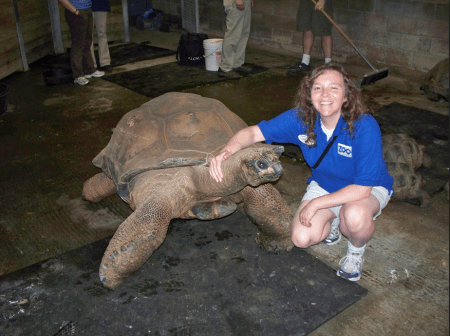 My pal, Al. Al is an Aldabran tortoise, the second largest living species of tortoise.